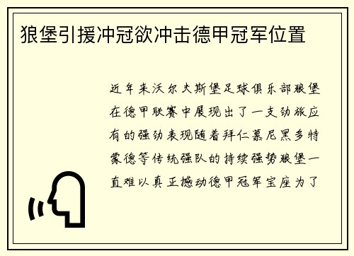 狼堡引援冲冠欲冲击德甲冠军位置